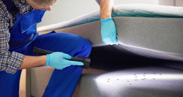 Best Bed Bug Extermination  in Crossville, TN