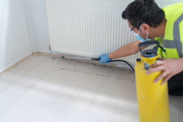 Best Commercial Pest Control Services  in Crossville, TN